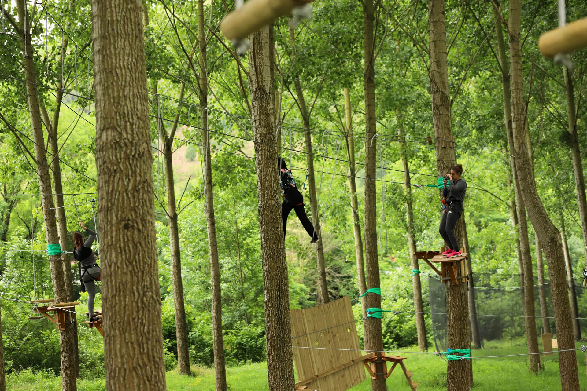 Accrobranche - Photo 4